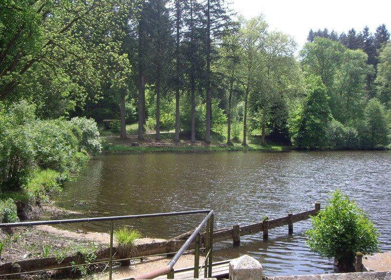 Arboretum de Pézanin, Dompierre-les-Ormes, France, France
